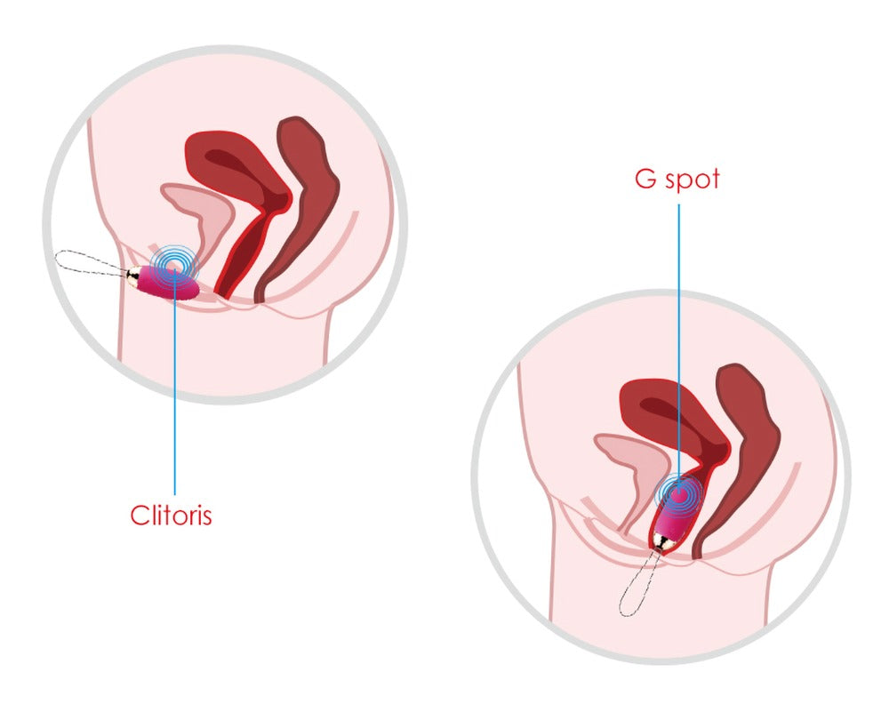 Elva vibrierende Ei von Svakom mit Fernbedienung Wireless G Spot Vibe und Klitoris Massager Verwendung